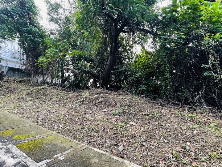 Parkridge Estates Subd. 484 sqm Residential Lot For Sale in Antipolo Rizal