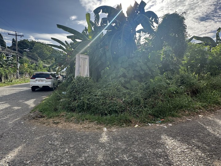 Residential Lot For Sale in Wellspring, Davao City