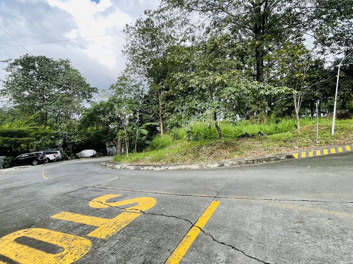 541 sqm Residential Lot For Sale in  Parkridge Estate Subd. Antipolo Rizal