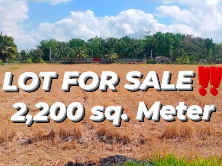 2,200 sqm residential farm lot for sale in SAN MIGUEL ILOILO