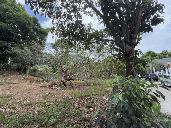 Adjacent lot with 120sqm each lot at kingsville royale subdivision