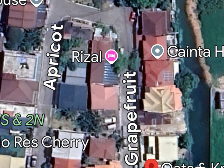 Lot for Sale  GREENLAND EXEC VILL Cainta lot  Phase 5  300sqm lot area