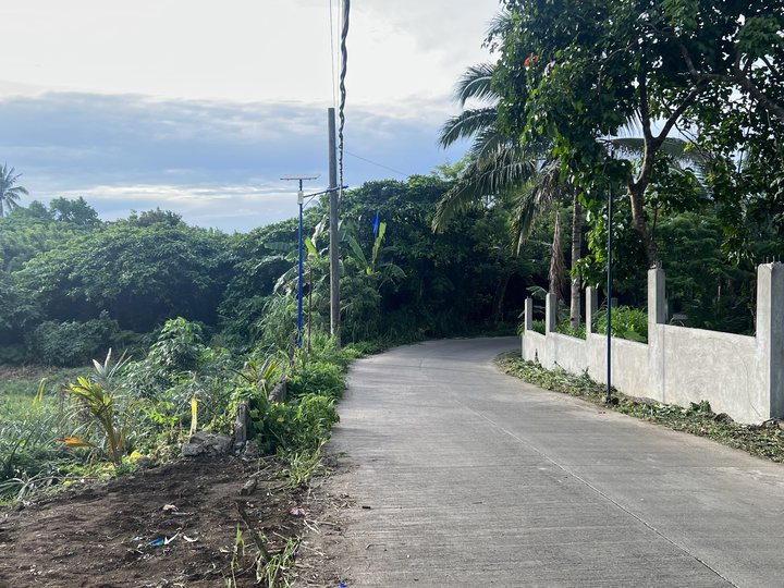 300sqm Residential Farm Lot for sale in Mendez near Tagaytay