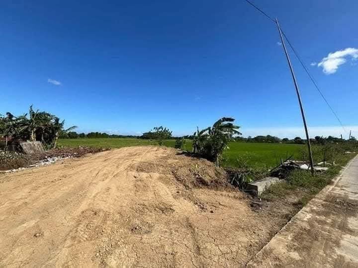 80 sqm Residential Lot For Sale in Oton Iloilo