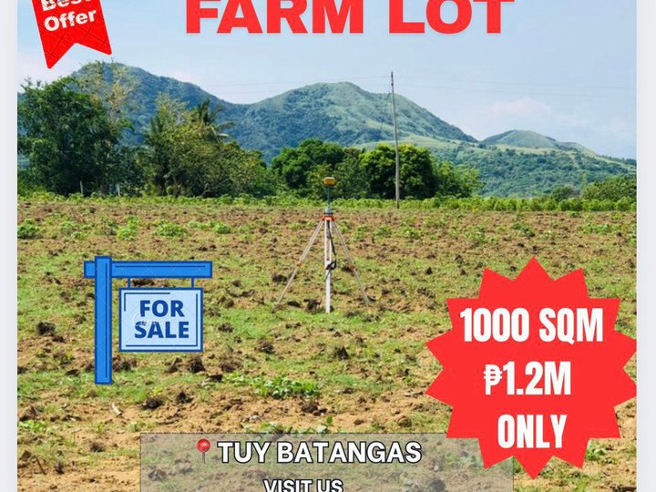 1,000 sqm Farm Lot For Sale in Tuy Batangas