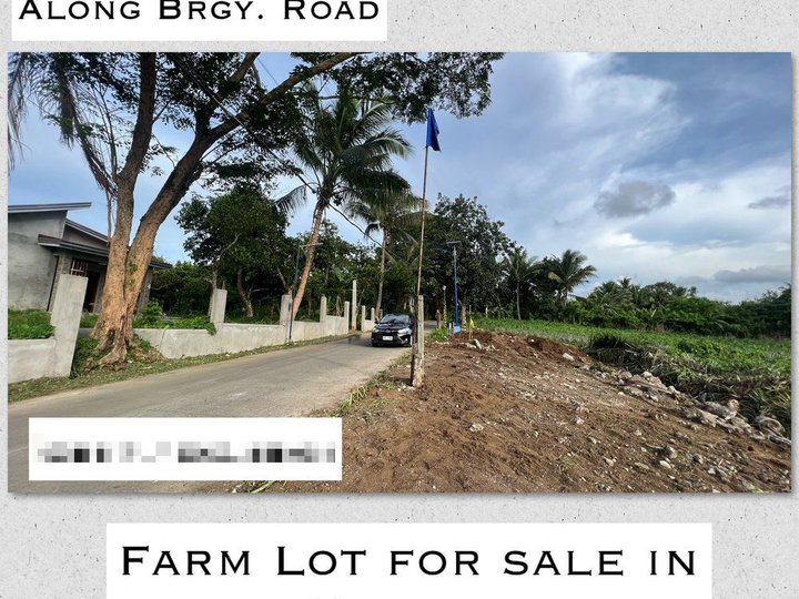 Affordable  Residential Farm Lot for sale in Mendez near Tagaytay