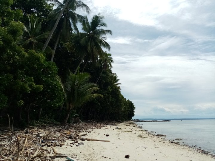 1.95 hec. White Sands Beach Property For Sale in Samal Island Davao