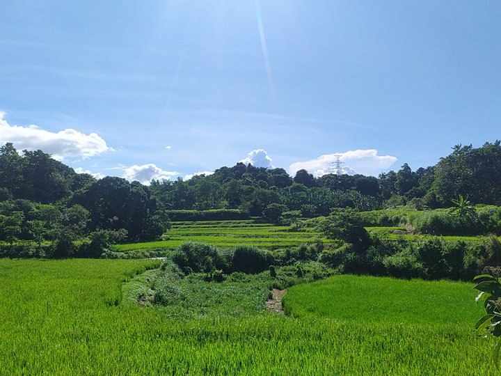 FARMLOT FOR SALE IN NORZAGARAY BULACAN -LIMITED SLOTS ONLY)