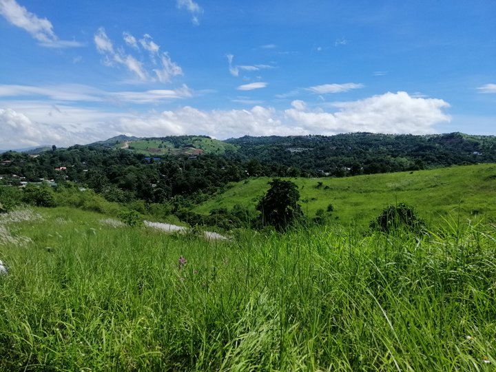 Overlooking Lots In San Mateo Rizal For Sale Flood Free
