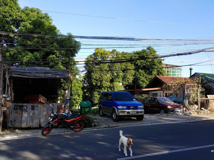 Commercial Lot for Sale, Camaro St., Fairview Capitol, QC