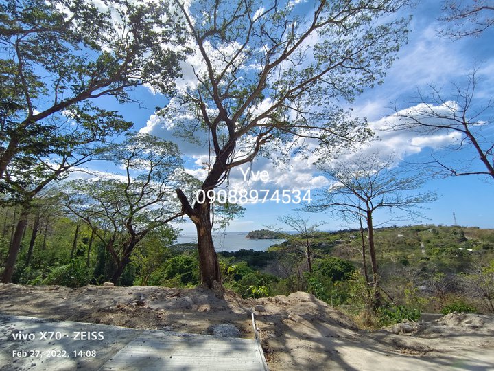 LOT FOR SALE IN BATANGAS ( WITH OCEAN VIEW)