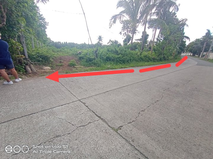 1.4 Has. Land For Sale Alfonso Cavite