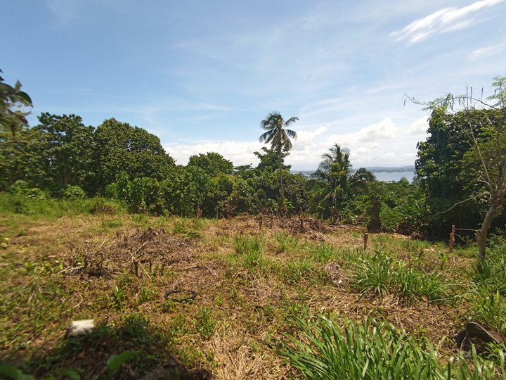 400 sqm residential lot For Sale in Island of Samal