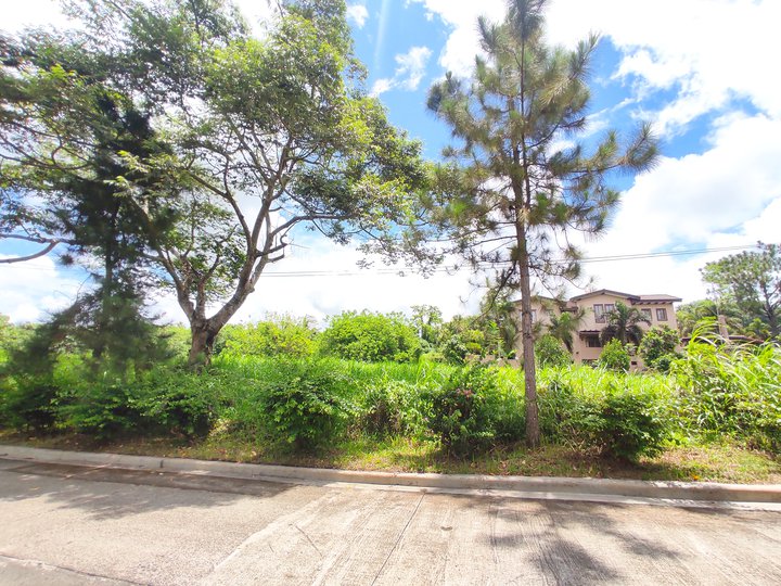 1197 sqm Lot For Sale in Ponderosa Leisure Farm Silang Cavite [Lot 🚜