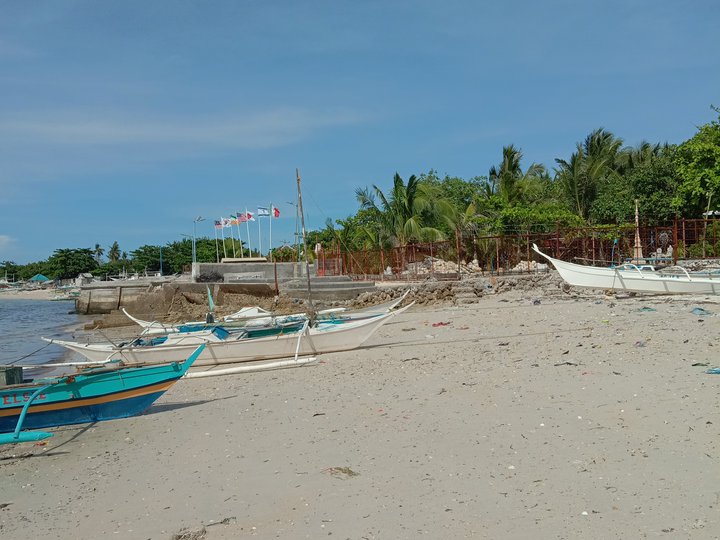For sale Beach lot in Cebu ph