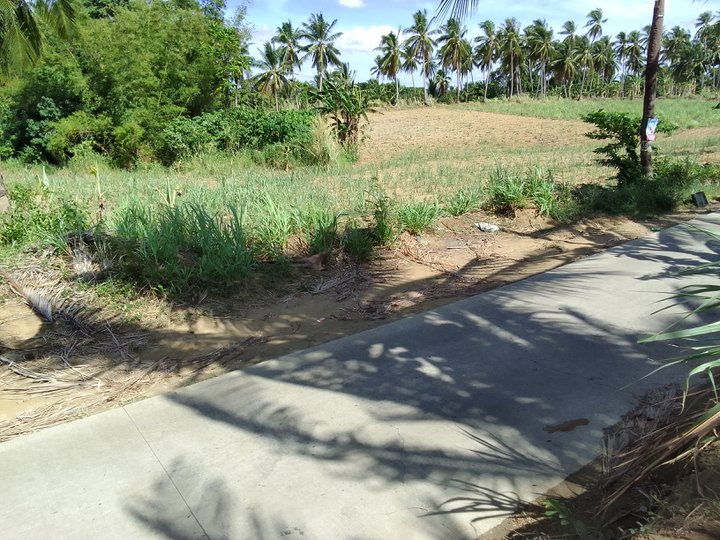 10,500 sqm Agricultural lot For Sale in Calaca Batangas