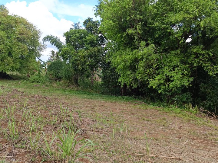 250 sqm Residential Lot For Sale in Magallanes Cavite