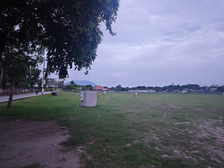 Huge Lots For sale in Bical , Mabalacat, Pampanga