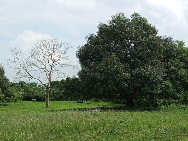 Mini farm lot sa Silang Cavite