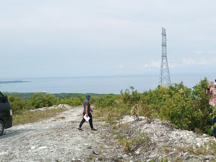 An overlooking seaview lot in Sibonga Cebu