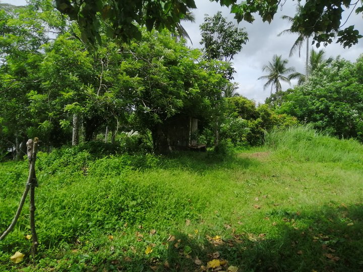 Residential Farmlot with 2 Storey house,