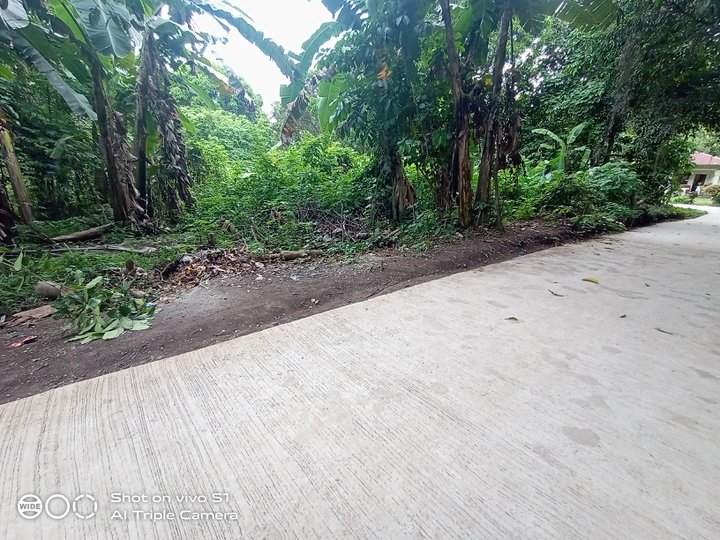 4879sqm. Lot for Sale Near Hiway Indang Trece Road