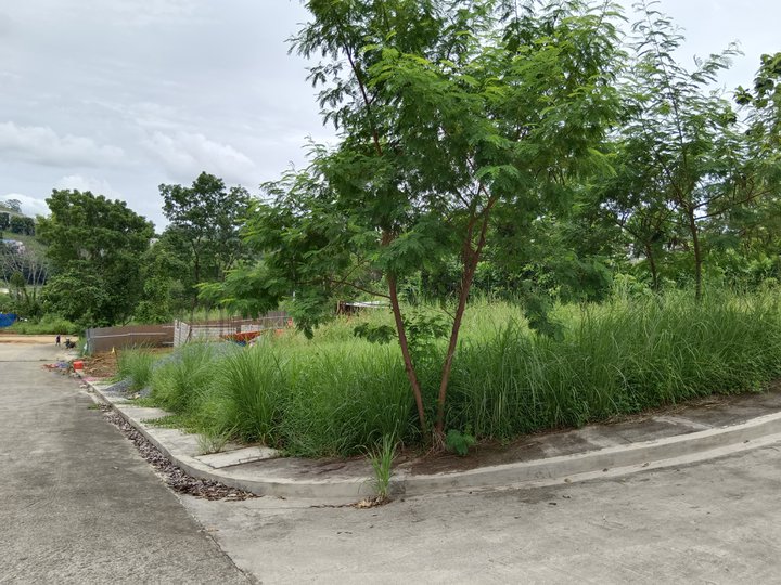 421 sqm Residential Lot For Sale in Antipolo Rizal