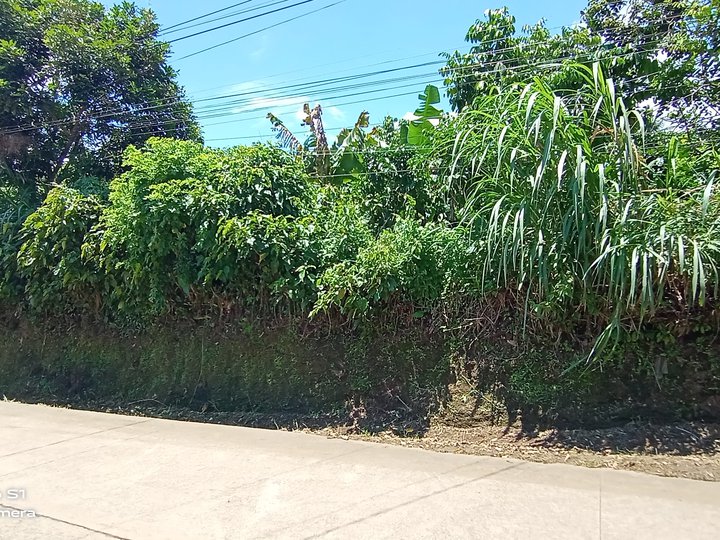 1.5 Has. Farm Lot with Fruit Trees Indang Cavite