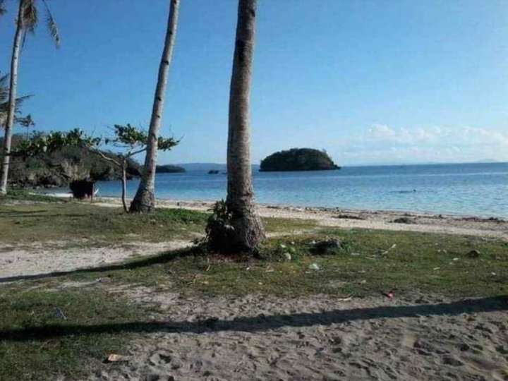 452 sqm Beach Property For Sale By Owner in Nabas Aklan [Beach Property