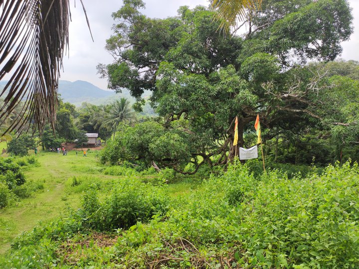 Residential FarmLot Near Tourist Spot in Bulacan.