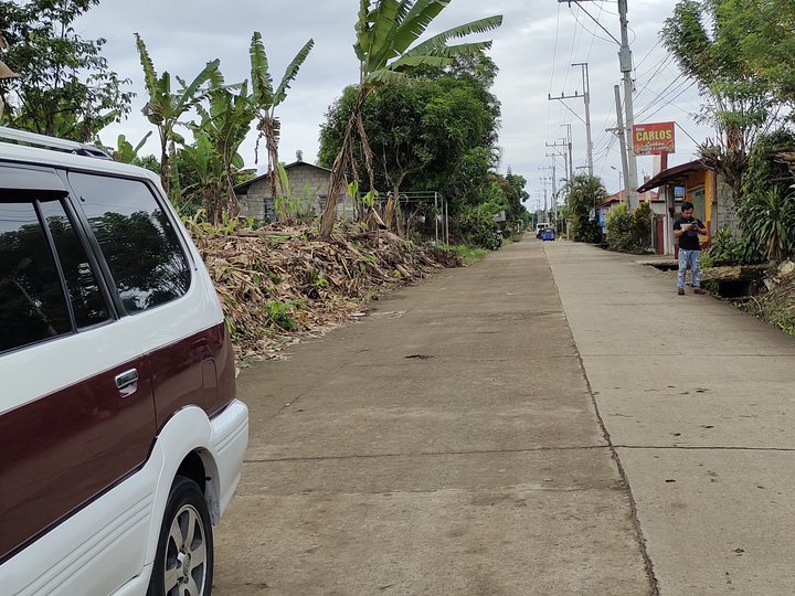 Residential lot for Sale in Paligawan Silang Cavite