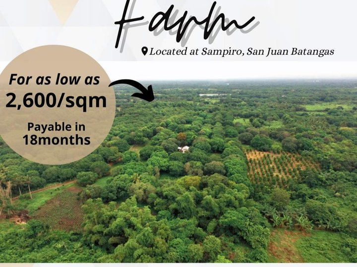 Farm Lot for sale in San Juan Batangas, nearby the public beach