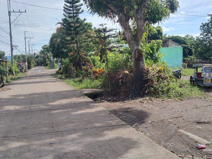 Residential lot for sale in Silang Cavite