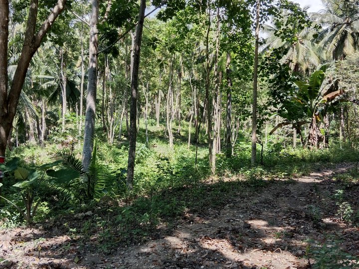 80 sqm Residential Lot, Peaceful w/ Beach Overview in Samal Davao