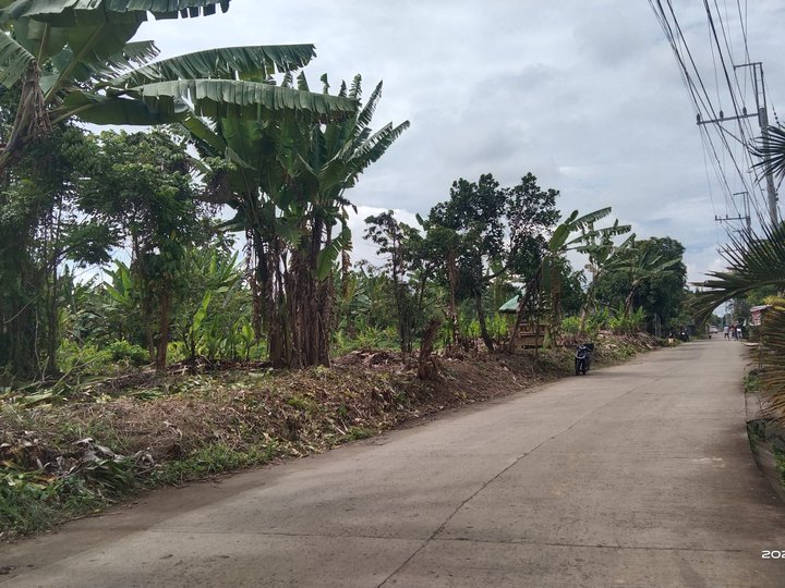 Residential Lot in Silang cavite