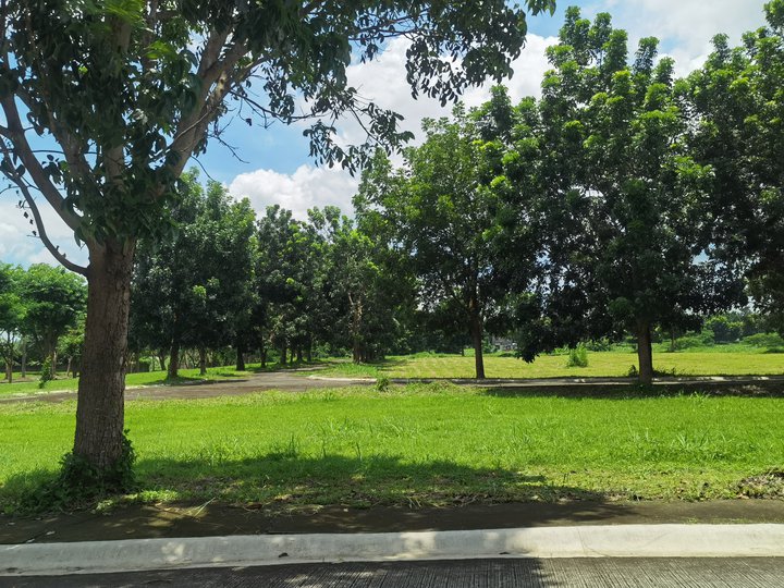 236sqm Lot for Sale in Calamba, Laguna