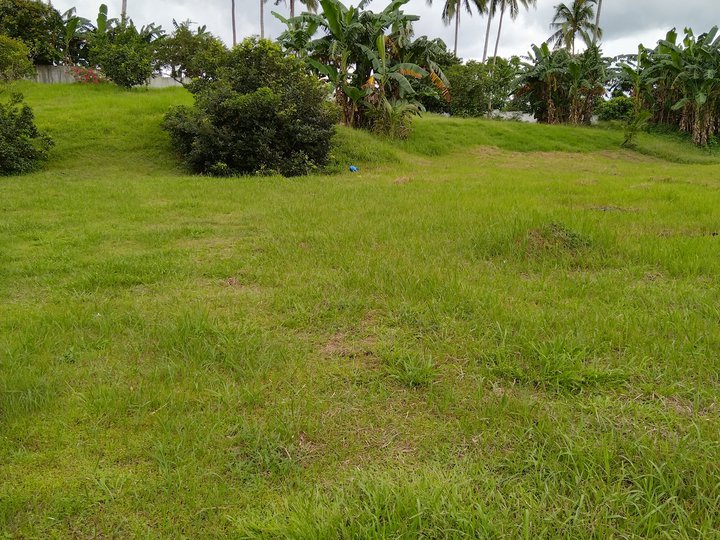 Farm Lot for Sale in Batangas