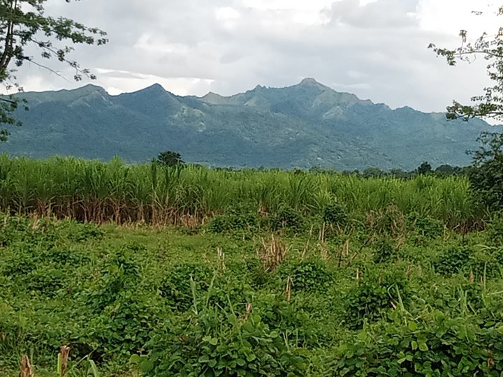 Sabang Tuy Farm Lot