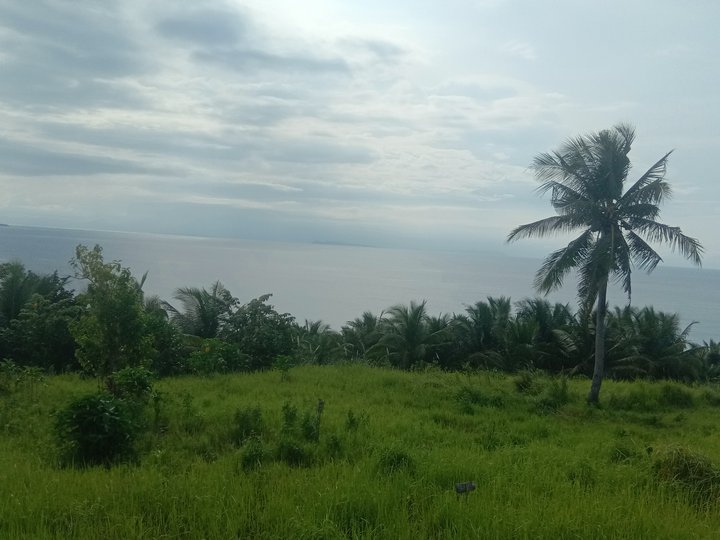 100 sqm Beach Property For Sale in Siruma Camarines Sur