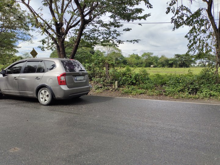 25000 sqm Commercial Lot For Sale in Santa Maria Bulacan