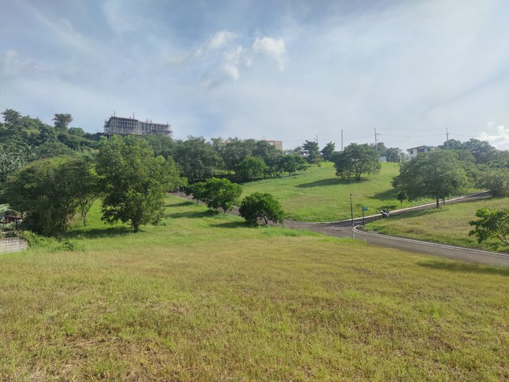 Overlooking Lot for Sale in Taytay Rizal - The Peak at Havila