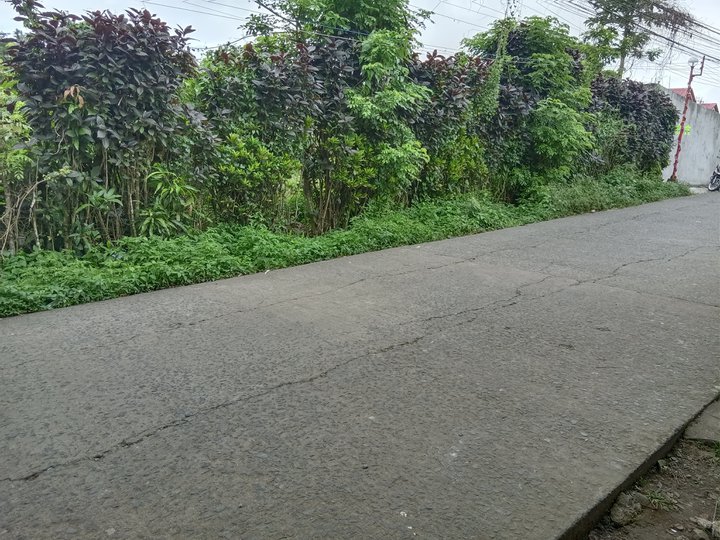 500Sqm. Residential Lot Clean Title Very Near Tagaytay