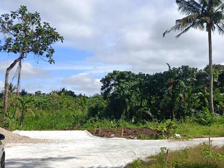 150 sqmResidential Lot for Sale in Silang Cavite