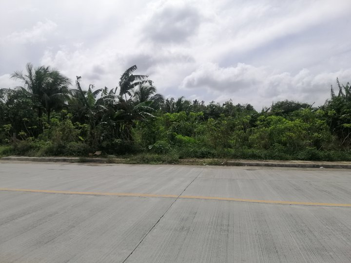 17,505 sqm Residential Farm Lot for SALE in Silang Cavite