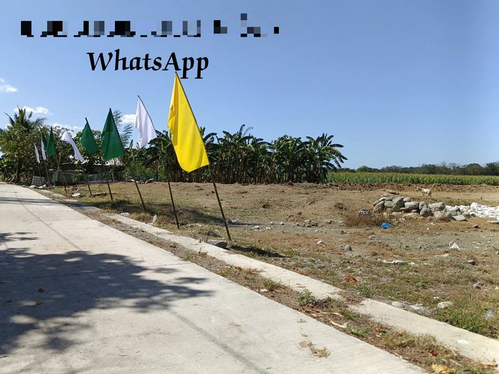 Titled Residential Lot For Sale in Mapandan, Pangasinan