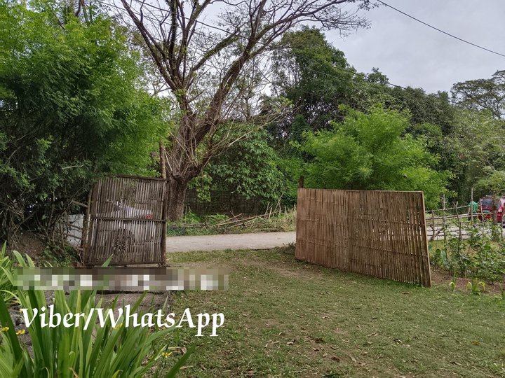 AFFORDABLE RESIDENTIAL LOT IN PILILIA RIZAL, FREE TRANSFER OF TITLE