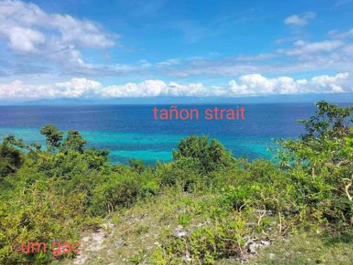 5085 sqm overlooking by the Beach Property For Sale in Badian Cebu