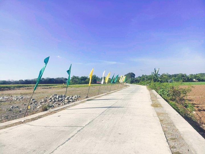 TITLED RESIDENTIAL LOT IN MAPANDAN PANGASINAN, FREE TRANSFER OF TITLE