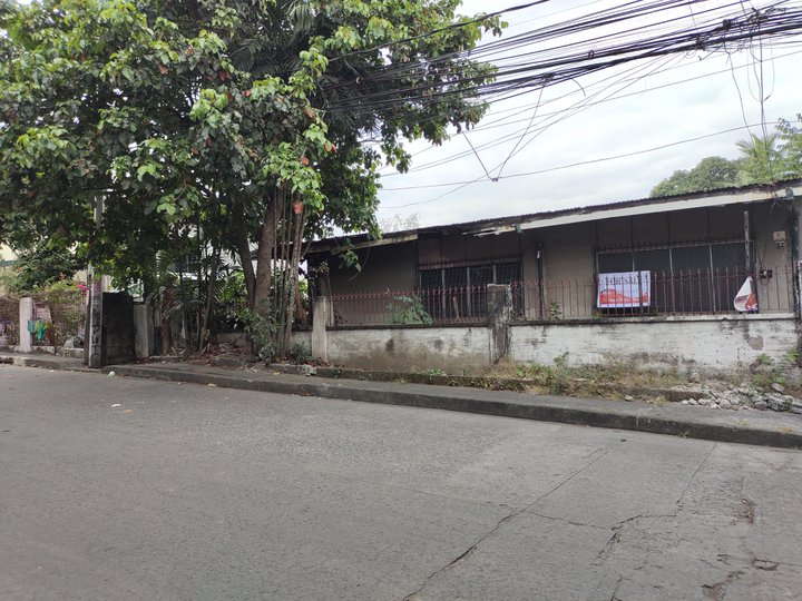 256 sqm Lot For Sale in Quezon City / QC Metro Manila