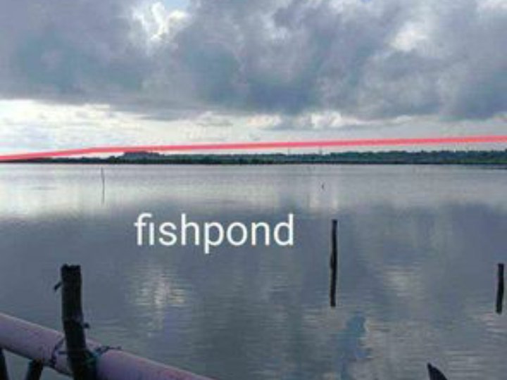 FISHPOND 82HAS + RESORT FOR SALE